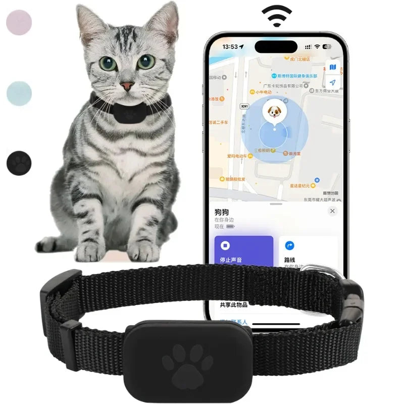 Lumen™ Collar